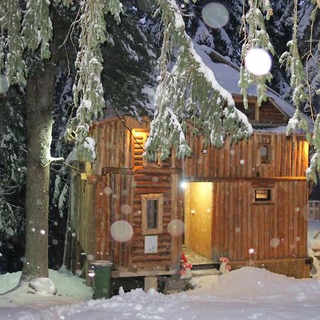 Pinetrees Lodge Plav Eksteriør billede