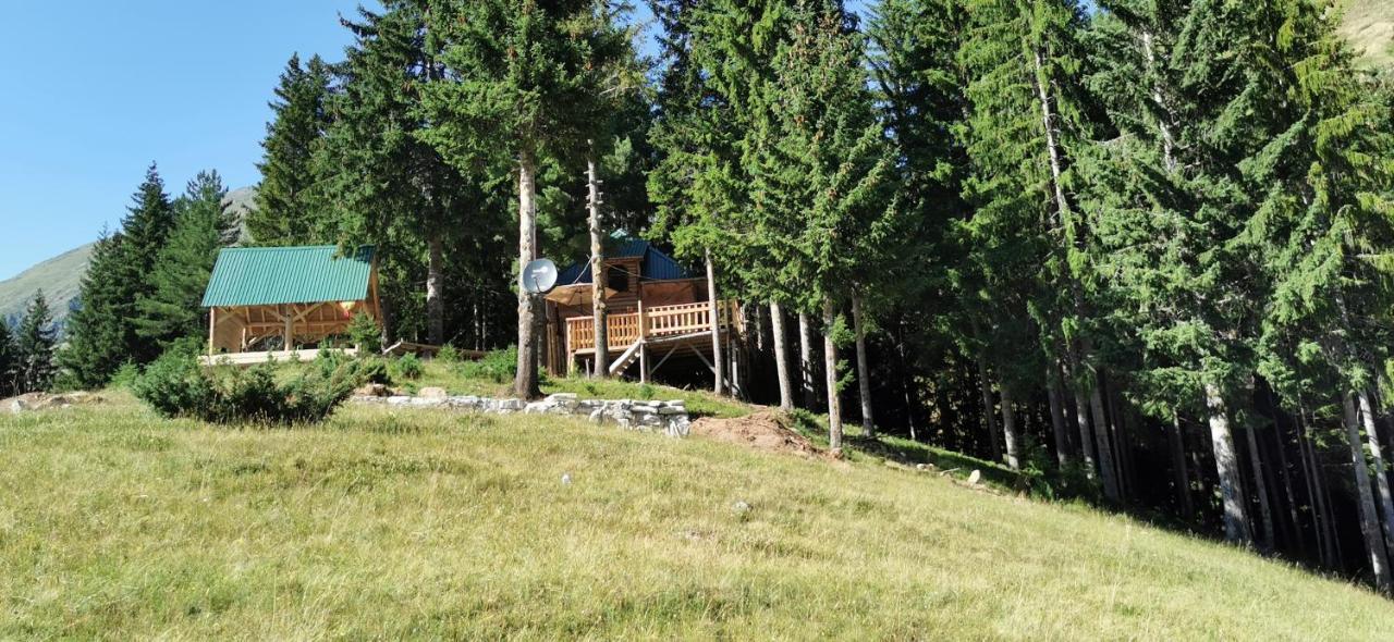 Pinetrees Lodge Plav Eksteriør billede