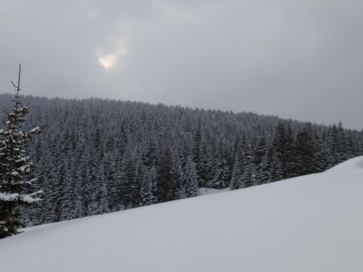 Pinetrees Lodge Plav Eksteriør billede