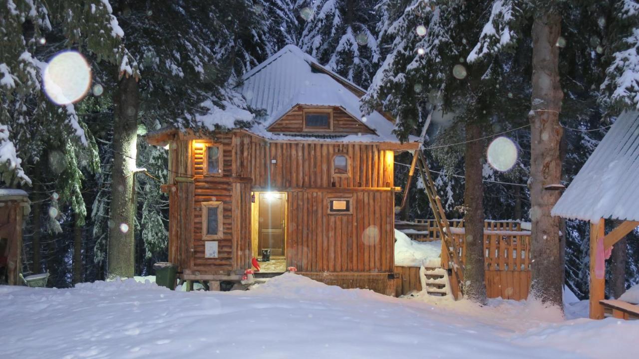 Pinetrees Lodge Plav Eksteriør billede