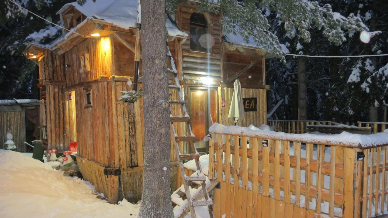 Pinetrees Lodge Plav Eksteriør billede