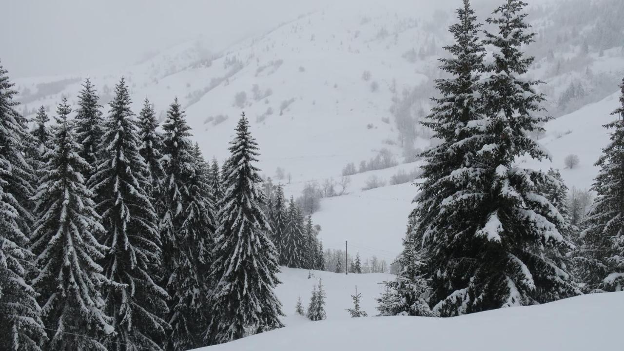 Pinetrees Lodge Plav Eksteriør billede